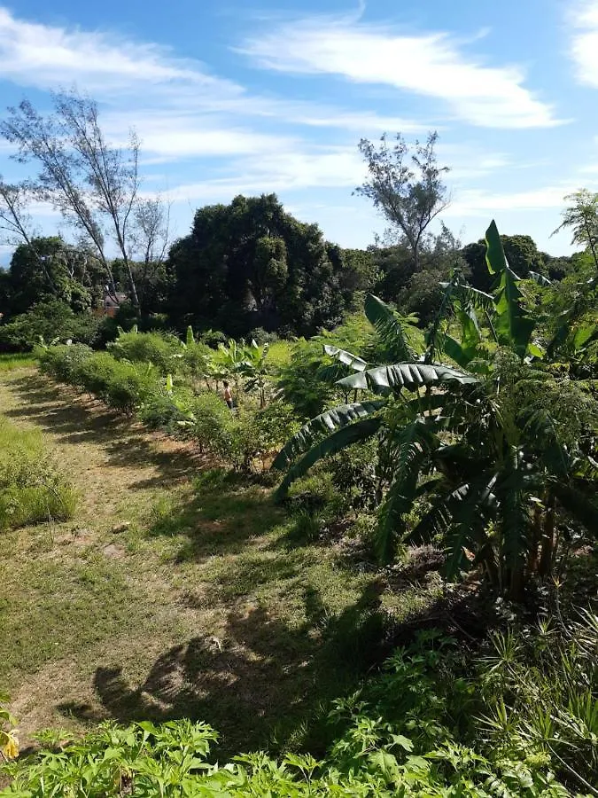 Chale A 300 M Da Praia Rasa, Com Horta Organica Búzios 0*,