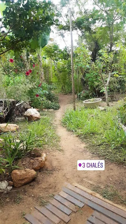 Chale A 300 M Da Praia Rasa, Com Horta Organica Búzios