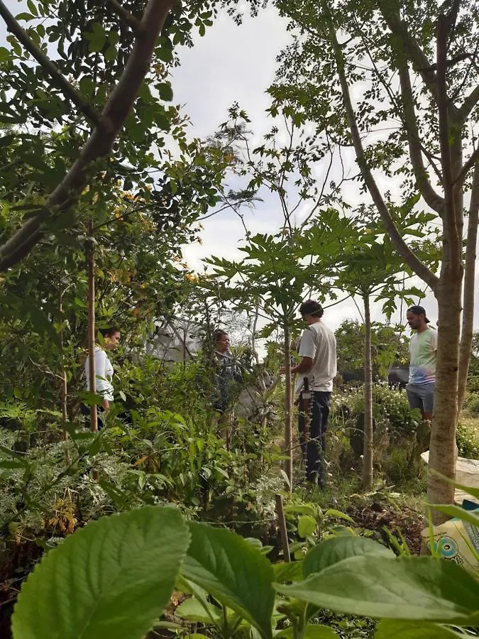 Chale A 300 M Da Praia Rasa, Com Horta Organica Búzios Feriehus