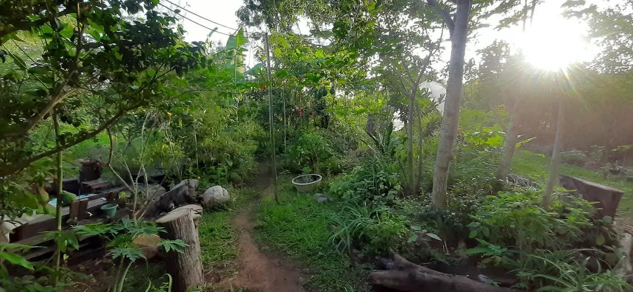 Feriehus Chale A 300 M Da Praia Rasa, Com Horta Organica Búzios Brasilien