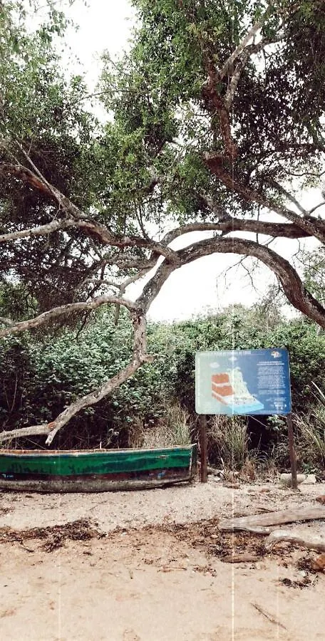 Chale A 300 M Da Praia Rasa, Com Horta Organica Armacao dos Buzios Brazil