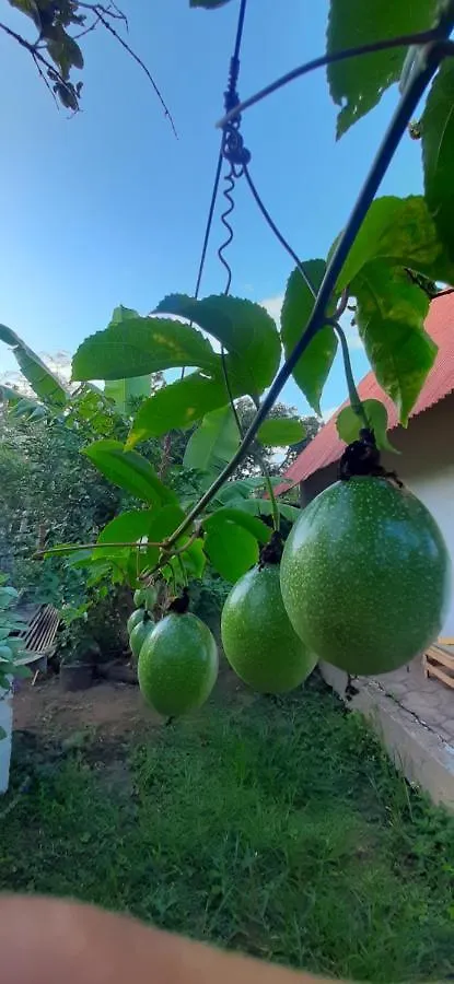 Chale A 300 M Da Praia Rasa, Com Horta Organica Armacao dos Buzios 0*,  Brazil